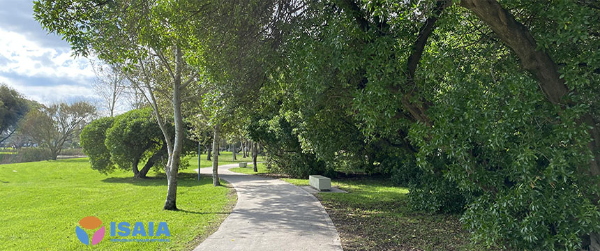 Urología y Salud Integral.. BENEFICIOS DE LA ACTIVIDAD FISICA EN EPOCAS DE COVID 19